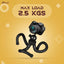 HIFFIN Flexible Gorillapod Tripod with 360° Rotating Ball Head Tripod for All DSLR Cameras(Max Load 2.5 kgs) & Mobile Phones + Free Heavy Duty Mobile Holder(Black) (12 Inch, Black)