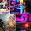 Ulanzi Handheld Light Wand, 360° RGB Led Video Light, 2000Mah Rechargeable Mini Light Stick, 2500-9000K Dimmable Camera Light W LCD, Support Magnetic Attraction, Black, (2637-Ca10)
